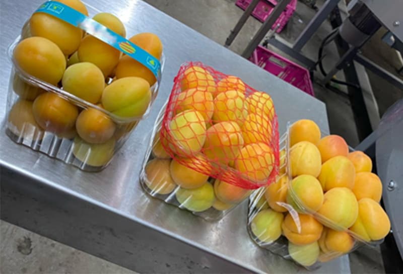 images/1706168697324Apricot packing machine.jpg